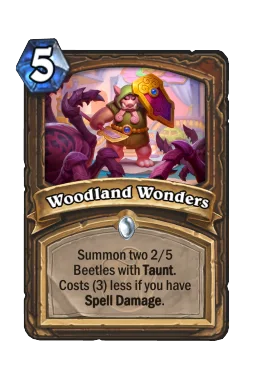 Woodland Wonders