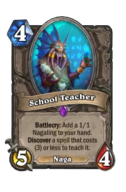 School Teacher