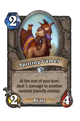 Spitting Camel