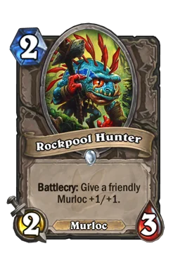 Rockpool Hunter