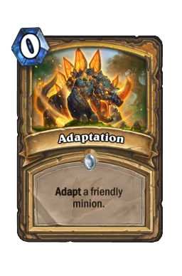 Adaptation