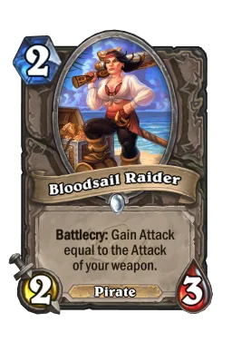 Bloodsail Raider
