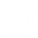 Adaptive Shield