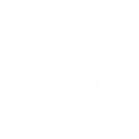 Terra Surge