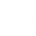 Drill Dash