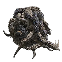 Octopus Head