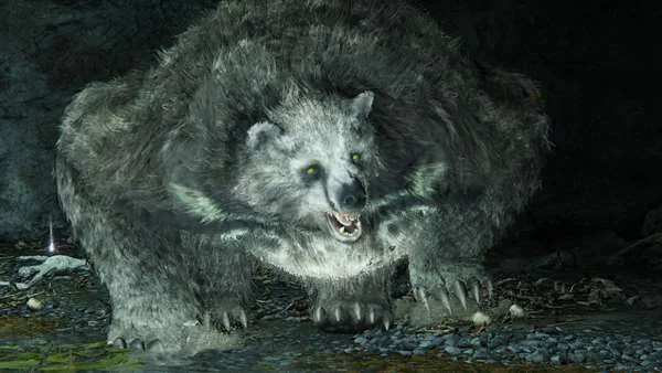 Runebear