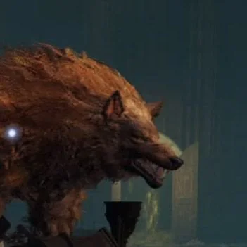 Red Wolf Of The Champion