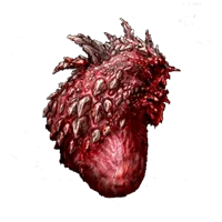 Dragon Heart