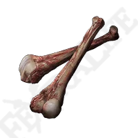 Hefty Beast Bone