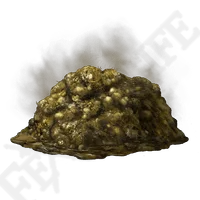 Gold-tinged Excrement