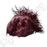 Lump Of Flesh