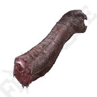 Turtle Neck Meat