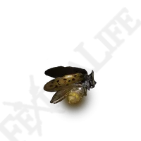 Gold Firefly