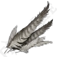 Stormhawk Feather