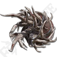Spiralhorn Shield