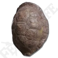 Great Turtle Shell