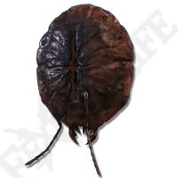 Ant's Skull Plate