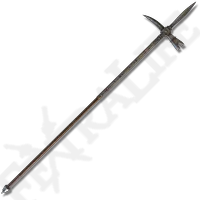 Lucerne