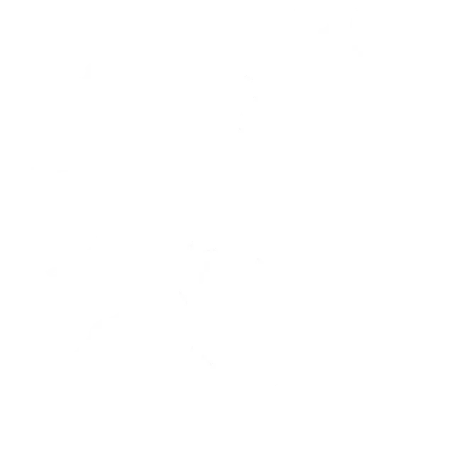 Shunko Raijin Senkei