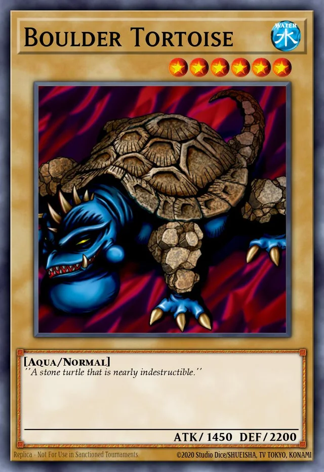 Boulder Tortoise