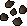 Apple tree seed