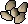 Barley seed