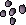 Belladonna seed