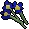 Blue flowers