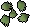 Cactus seed