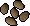 Calquat tree seed