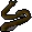 Cave eel