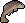 Common tench