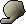 Cotton yarn