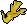 Elkhorn coral