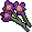 Purple flowers