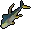 Raw yellowfin