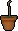 Rosewood sapling