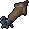 Swordtip squid