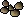 Teak seed