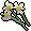 White flowers