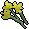 Yellow flowers