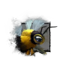 Juvenile Janthiri Bee