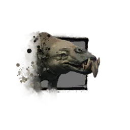 Juvenile Siamoth