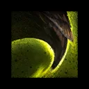 Undead Plague