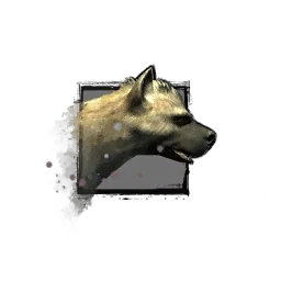 Juvenile Hyena