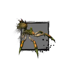 Juvenile Forest Spider