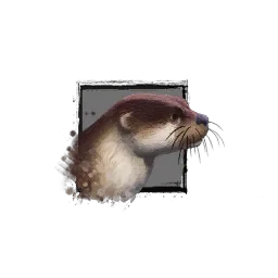 Juvenile River Otter