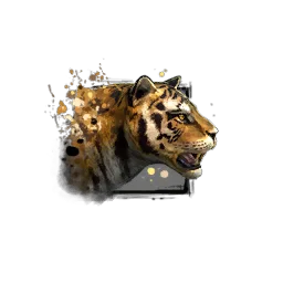 Juvenile Tiger