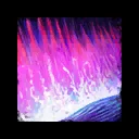 Temporal Curtain
